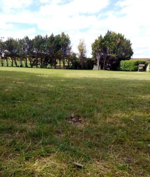 Photo de Saint-Martial-sur-Né