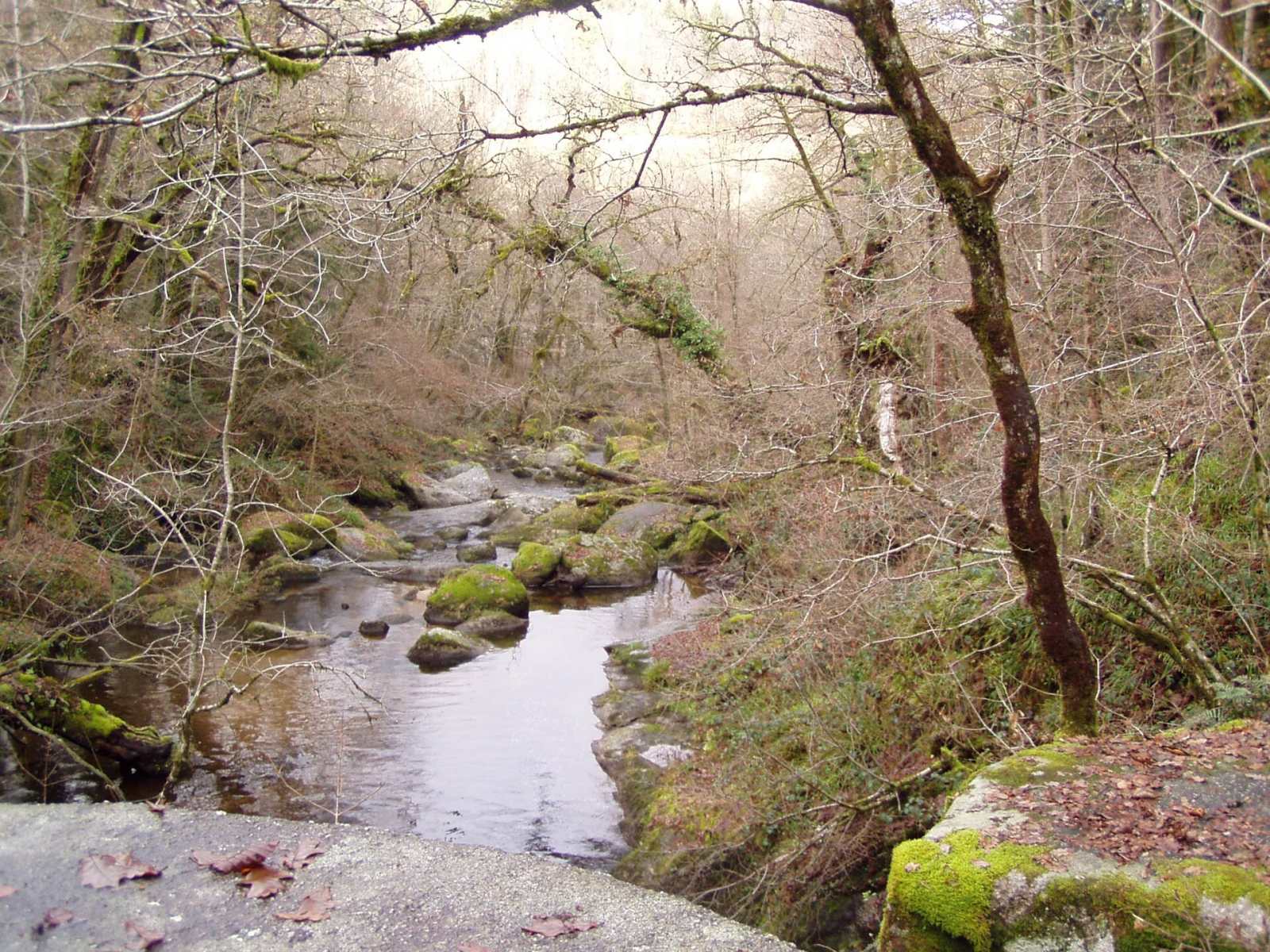 Photo de Saint-Martin-Château