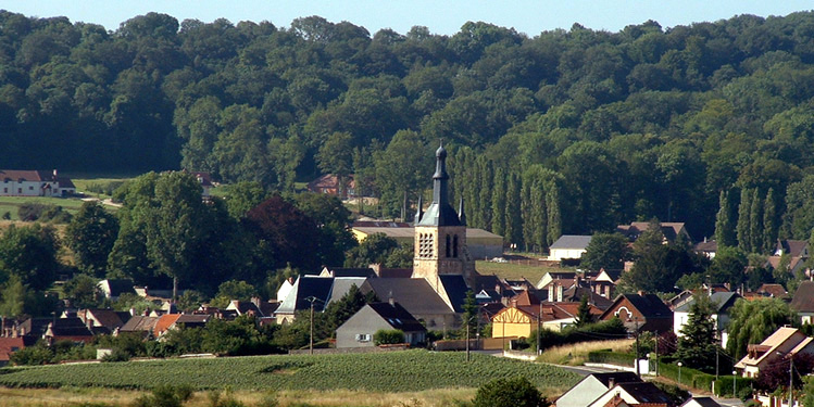 Photo de Saint-Martin-d'Ablois