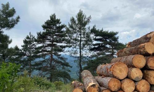 Photo de Saint-Martin-de-Boubaux