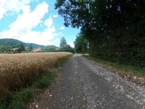 Photo de Saint-Martin-de-la-Cluze