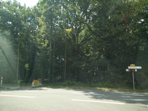 Photo de Saint-Martin-des-Champs