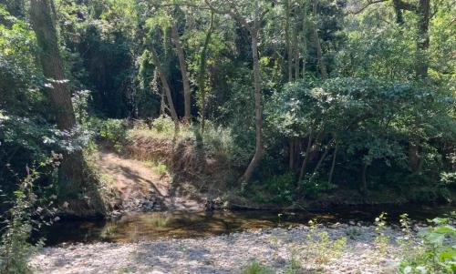 Photo de Saint-Martin-des-Puits