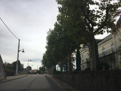 Photo de Saint-Martin-la-Plaine