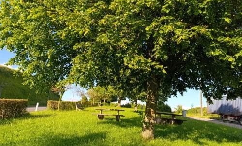 Photo de Saint-Martin-Osmonville