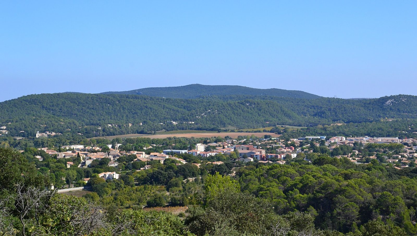 Photo de Saint-Mathieu-de-Tréviers