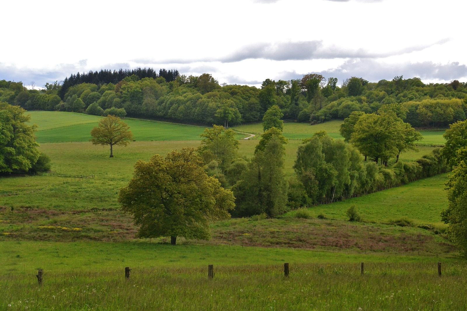 Photo de Saint-Maurice-la-Souterraine