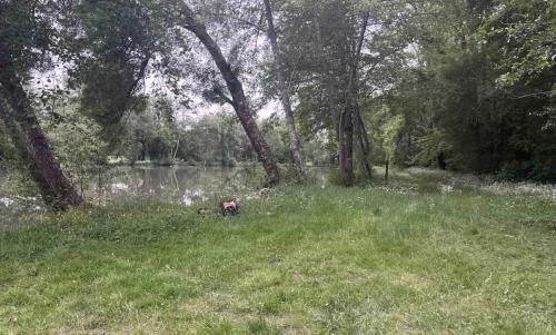 Photo de Saint-Nexans