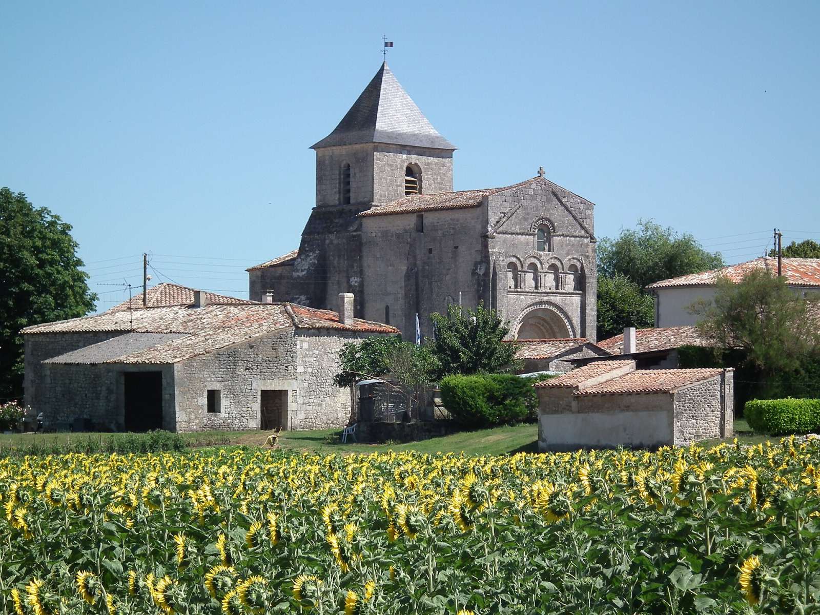Photo de Saint-Palais-de-Phiolin