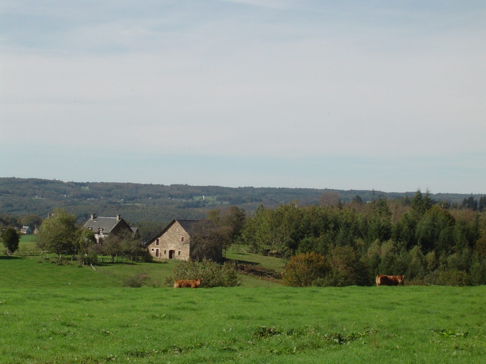 Photo de Saint-Pantaléon-de-Lapleau