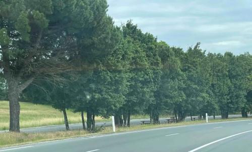 Photo de Saint-Perdoux