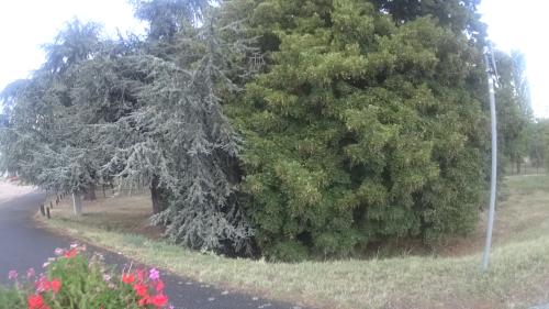 Photo de Saint-Père-sur-Loire