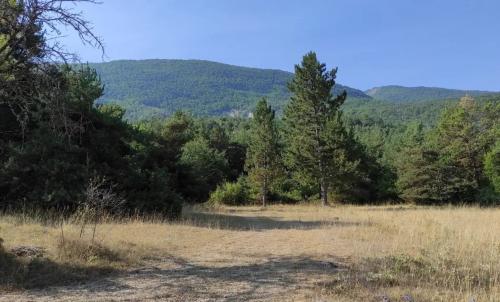 Photo de Saint-Pierre-Avez