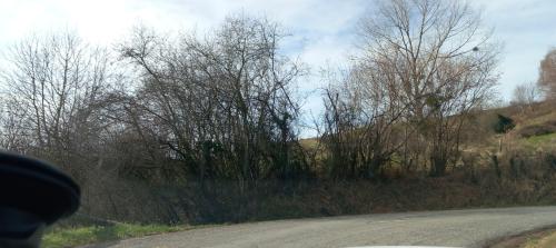 Photo de Saint-Pierre-d'Alvey