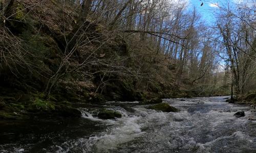 Photo de Saint-Pierre-de-Nogaret