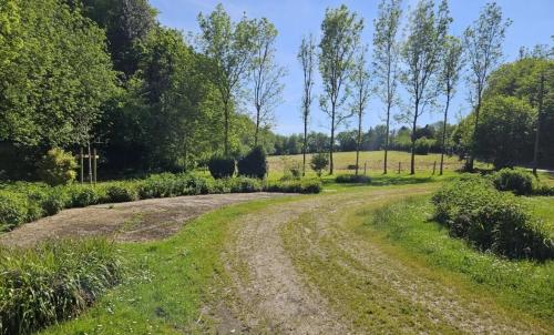 Photo de Saint-Pierre-des-Ifs