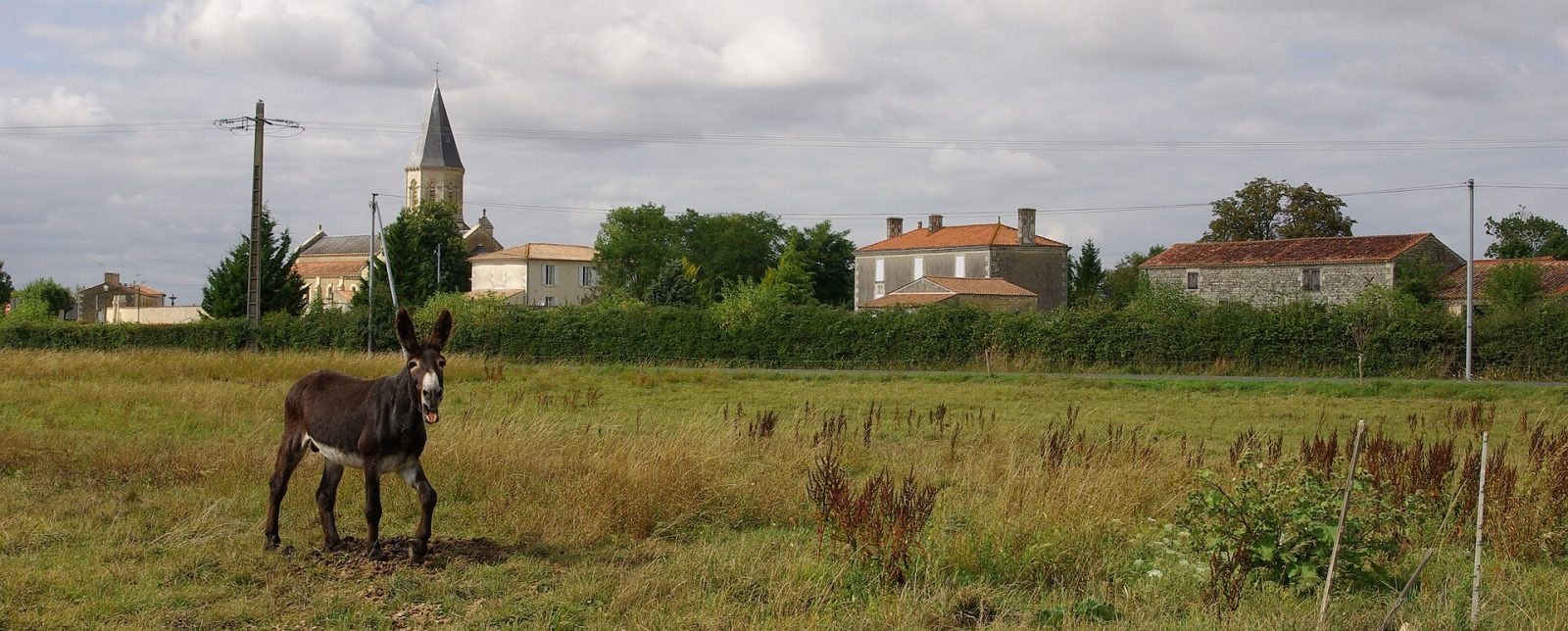 Photo de Saint-Pierre-le-Vieux