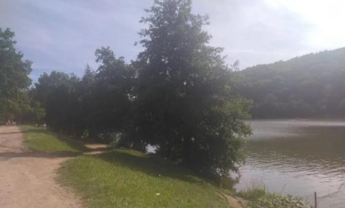 Photo de Saint-Point