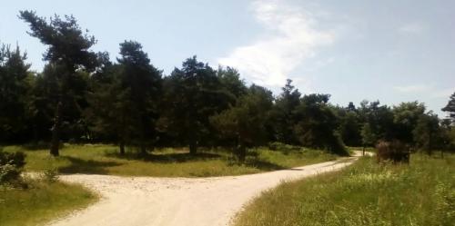 Photo de Saint-Privat-du-Fau