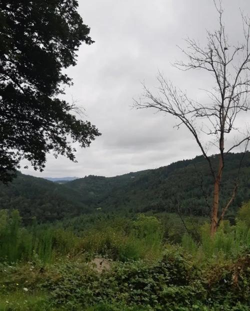Photo de Saint-Quentin-sur-Sauxillanges