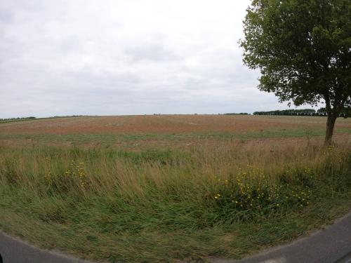 Photo de Saint-Rémy