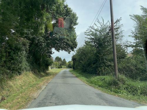 Photo de Saint-Rémy-des-Landes