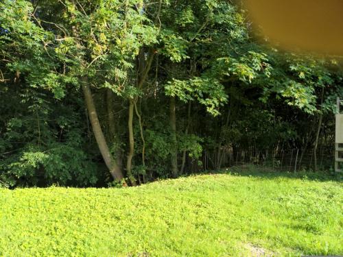 Photo de Saint-Remy-le-Petit