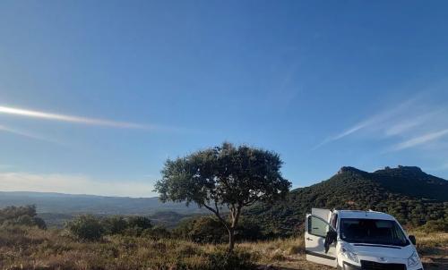 Photo de Saint-Saturnin-de-Lucian