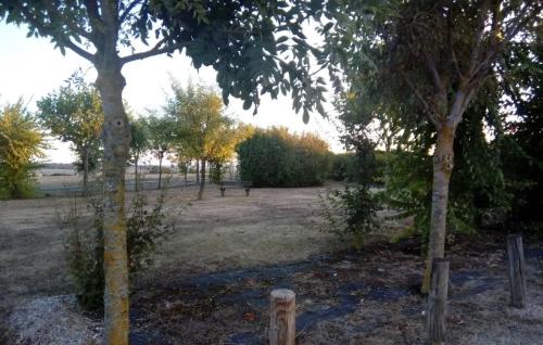 Photo de Saint-Saturnin-du-Bois