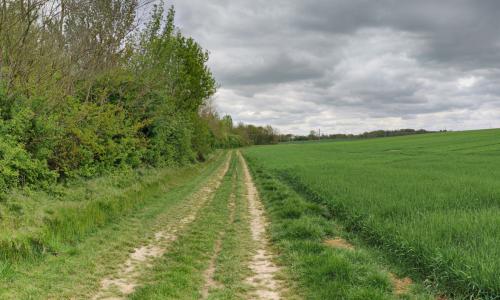 Photo de Saint-Sauveur-lès-Bray