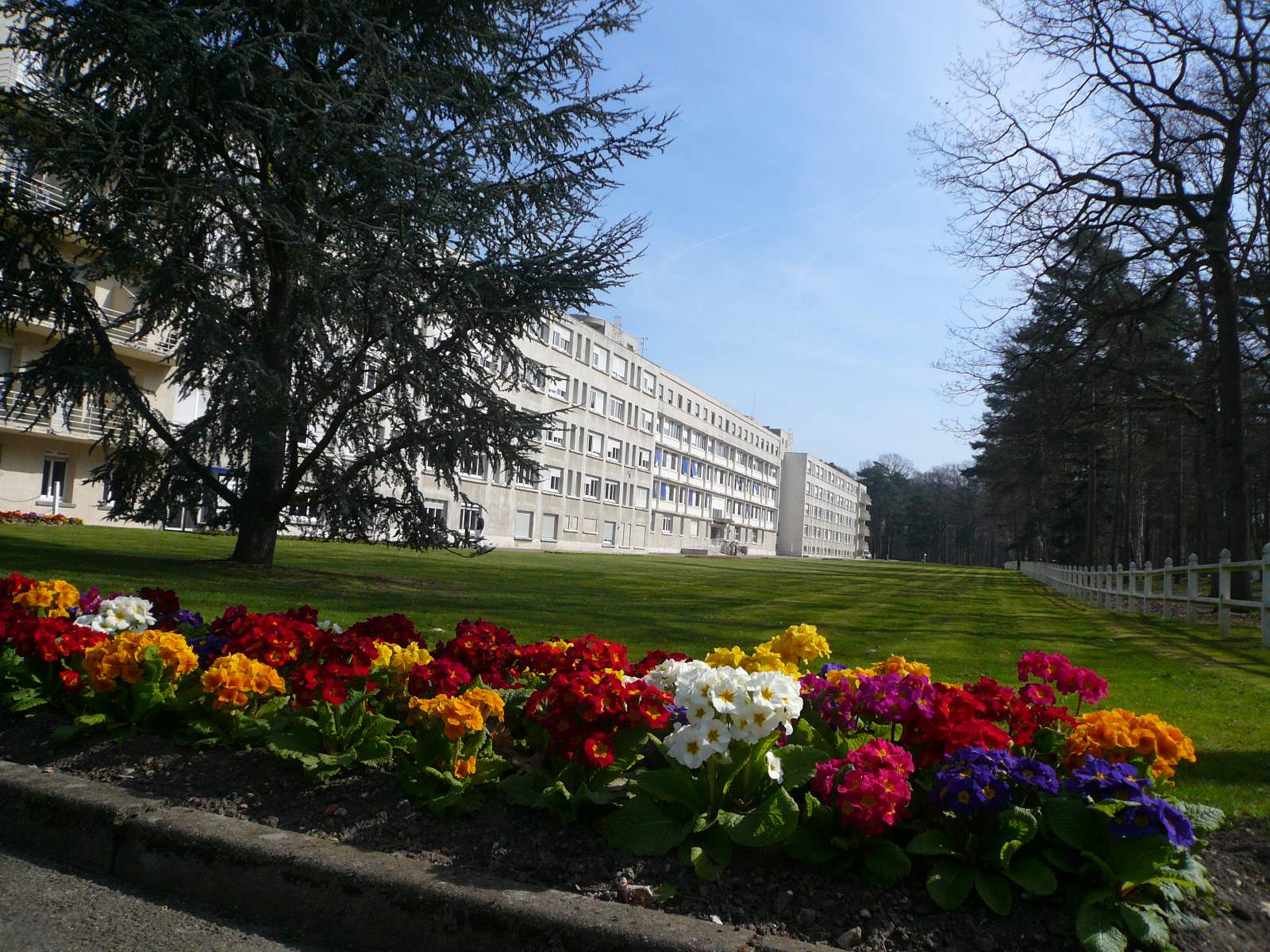 Photo de Saint-Sébastien-de-Morsent