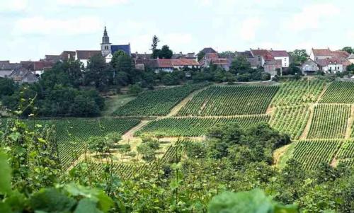 Photo de Saint-Sernin-du-Plain