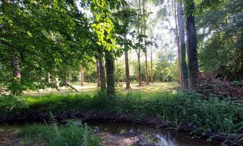 Photo de Saint-Séverin-sur-Boutonne