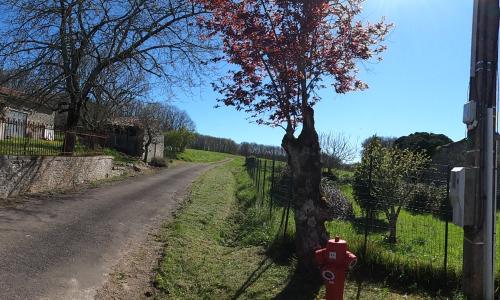 Photo de Saint-Sulpice-de-Ruffec