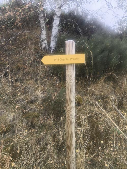 Photo de Saint-Symphorien