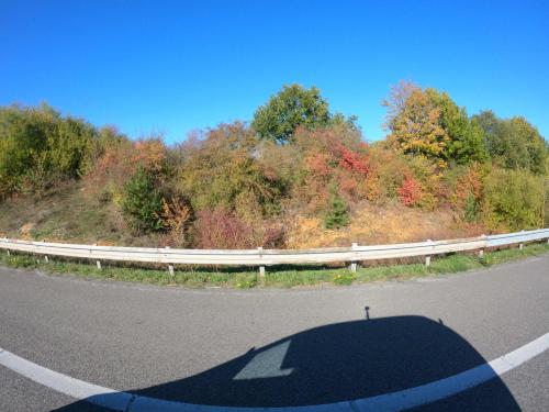Photo de Saint-Symphorien-le-Château