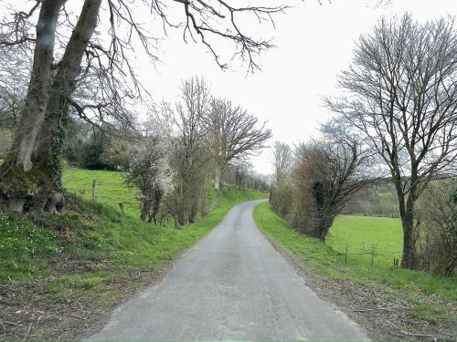 Photo de Saint-Vigor-des-Mézerets