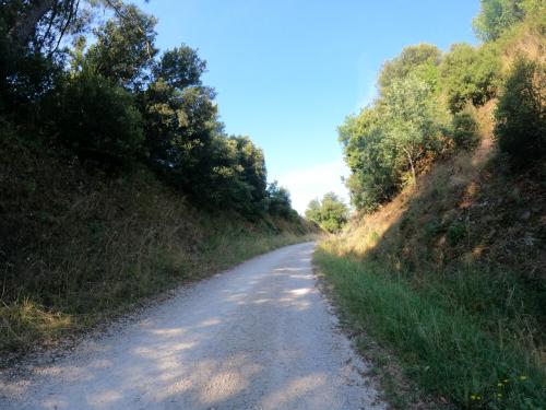 Photo de Saint-Vincent-de-Durfort