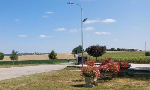 Photo de Saint-Vincent-de-Lamontjoie