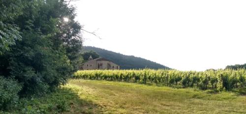 Photo de Saint-Vincent-Rive-d'Olt