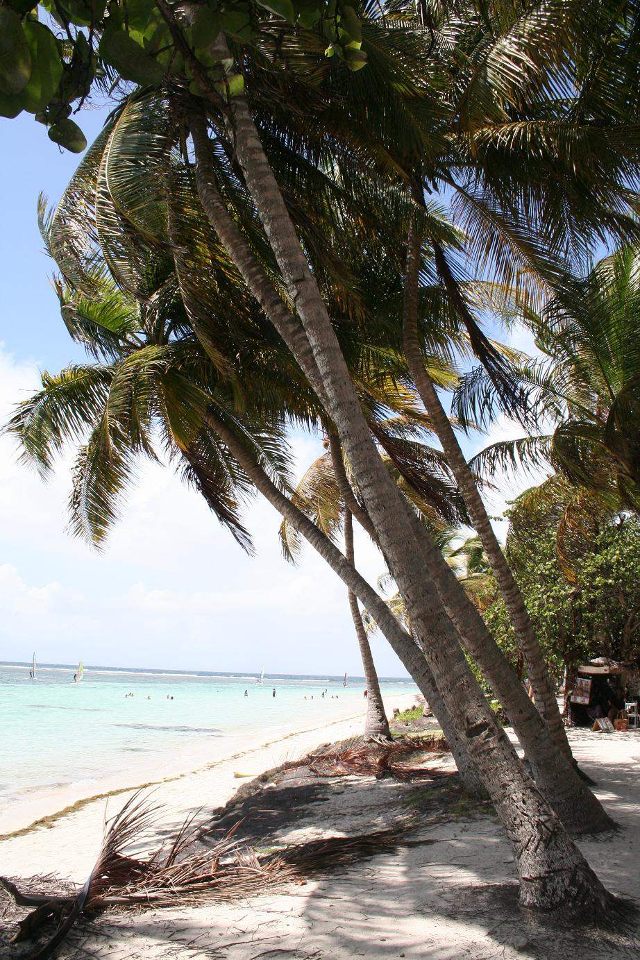 Photo de Sainte-Anne