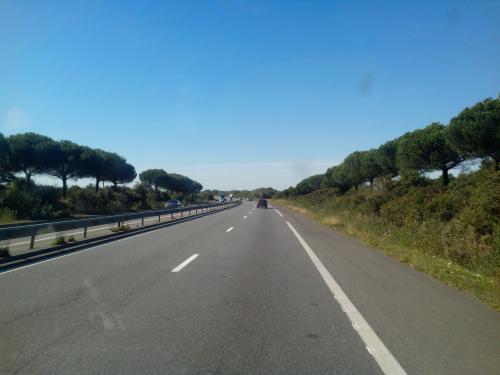 Photo de Sainte-Anne-sur-Brivet