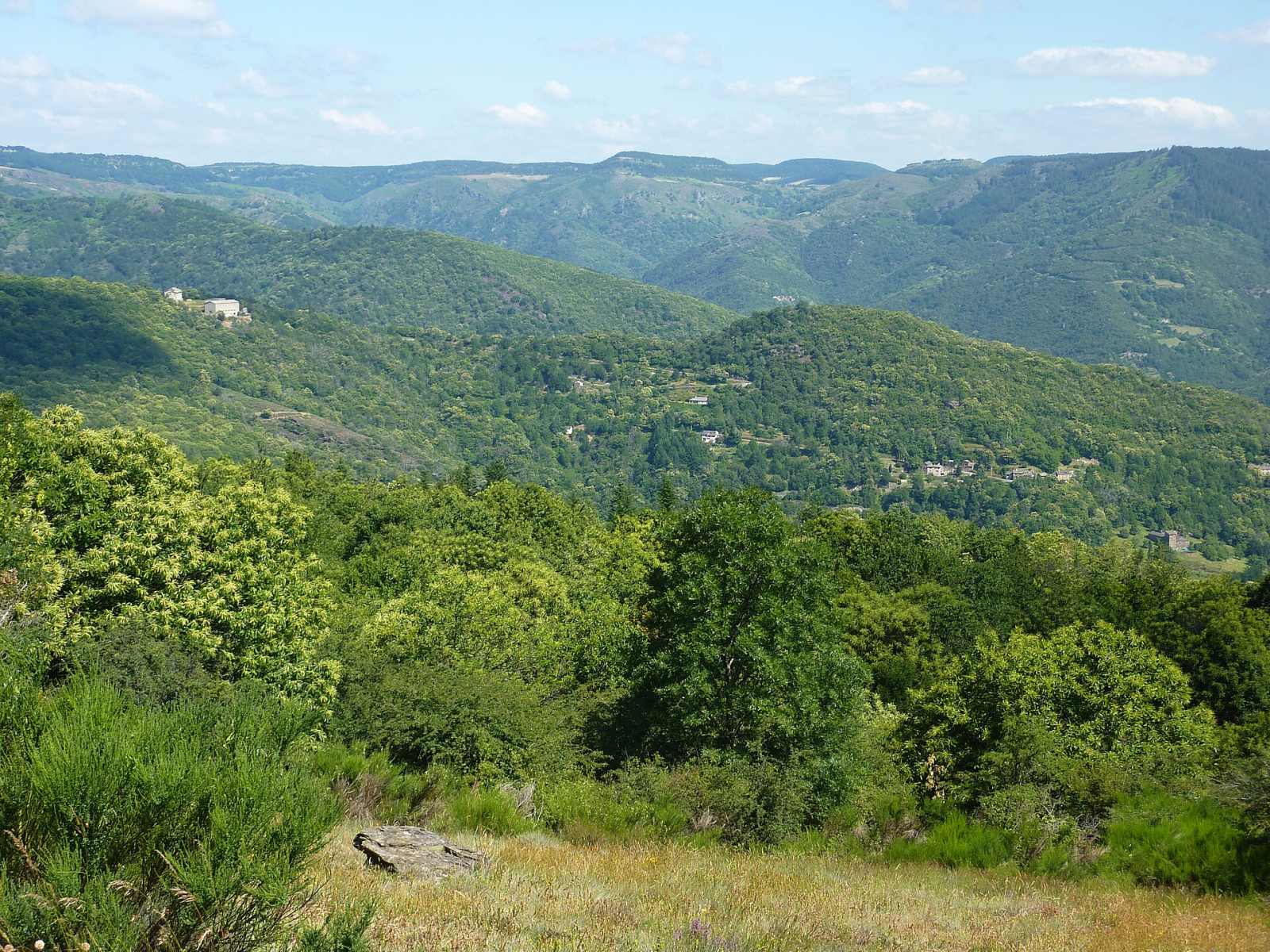 Photo de Sainte-Croix-Vallée-Française