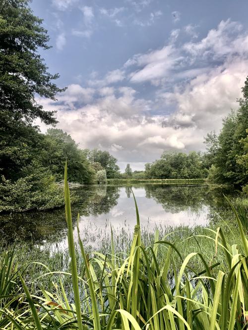 Photo de Salles-d'Armagnac