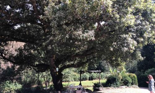 Photo de La Salvetat-Peyralès