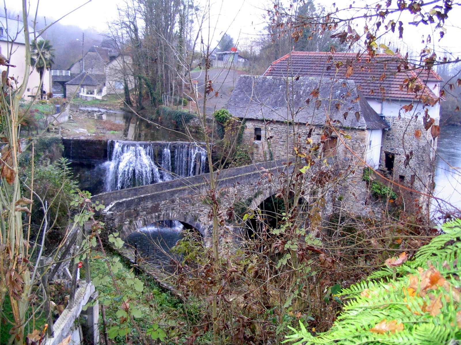 Photo de Saucède