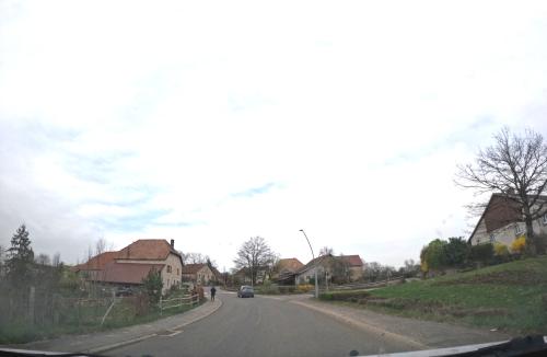 Photo de Saules