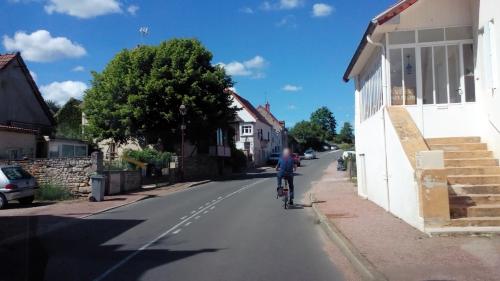 Photo de Saules