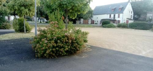 Photo de Saulzet-le-Froid