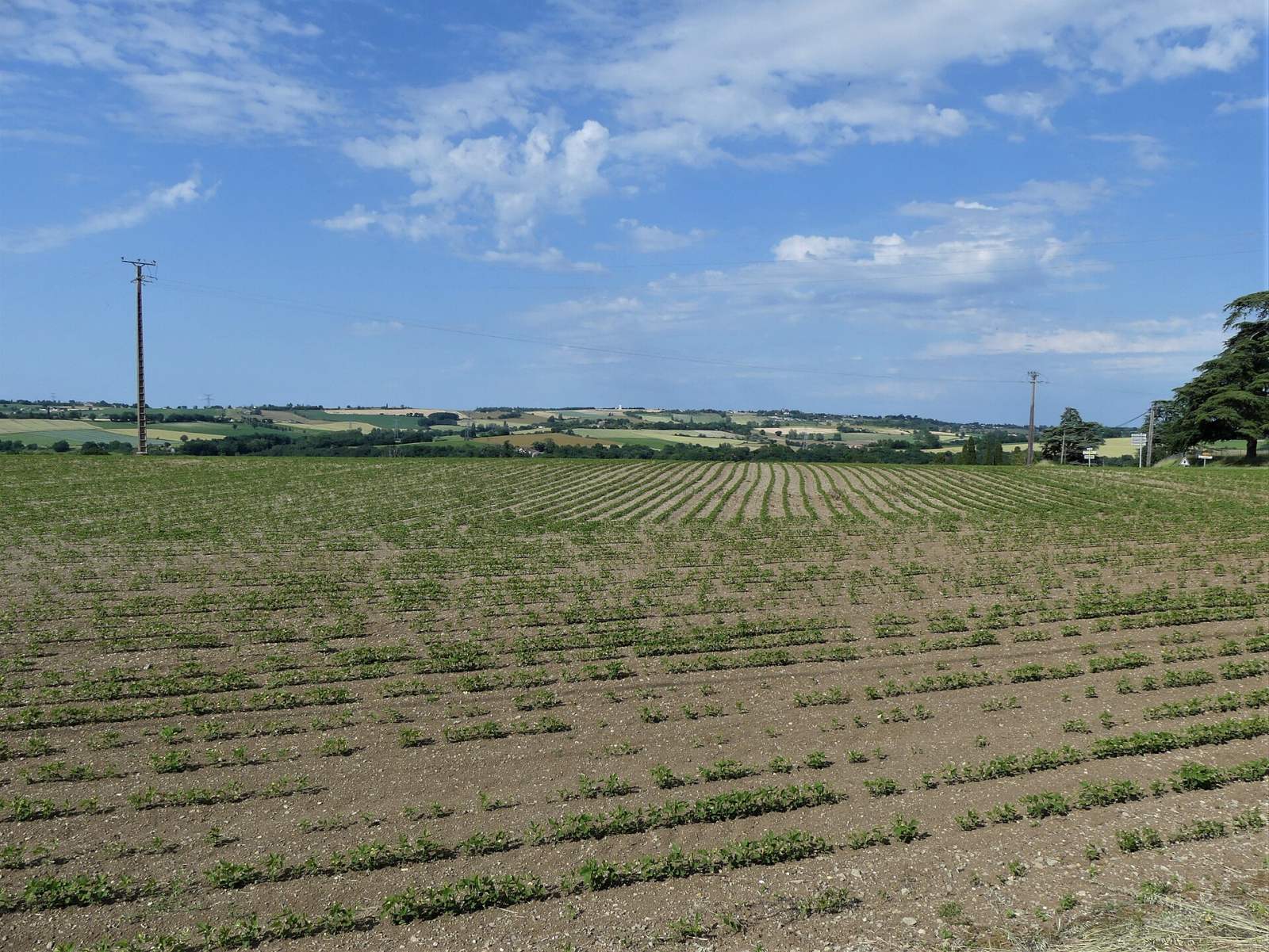 Photo de Saumont